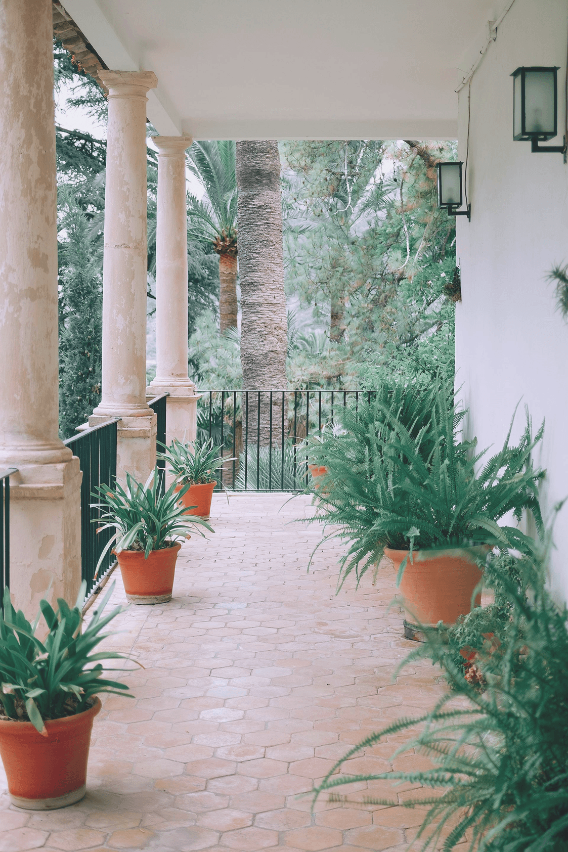 Outdoor terrace with columns and plants